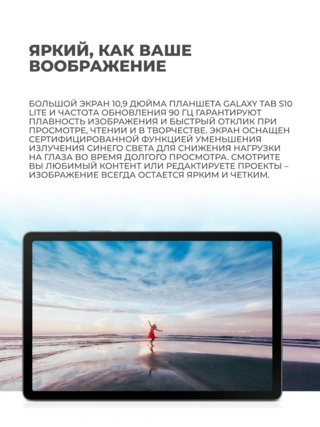 Планшет Samsung Galaxy Tab S10 Lite 6/128Gb Gray - фото 5