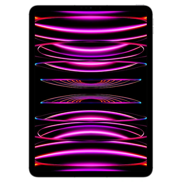 Планшет Apple iPad Pro 11″ (2022) 16/1TB Wi-Fi + Cellular Space Grey (MNYJ3RK/A) - фото 2