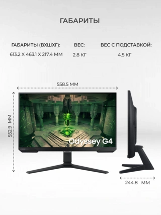 Монитор Samsung 25" Odyssey G4 LS25BG400EIXCI 25" Odyssey G4 LS25BG400EIXCI - фото 6