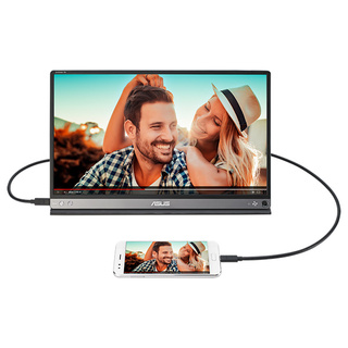 Монитор ASUS MB16AP