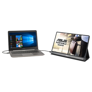 Монитор ASUS MB16AP