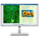 Монитор Lenovo L24m-40 (67A9UAC3EU)