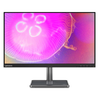 Монитор Lenovo L24q-35 (66D1GAC1EU)