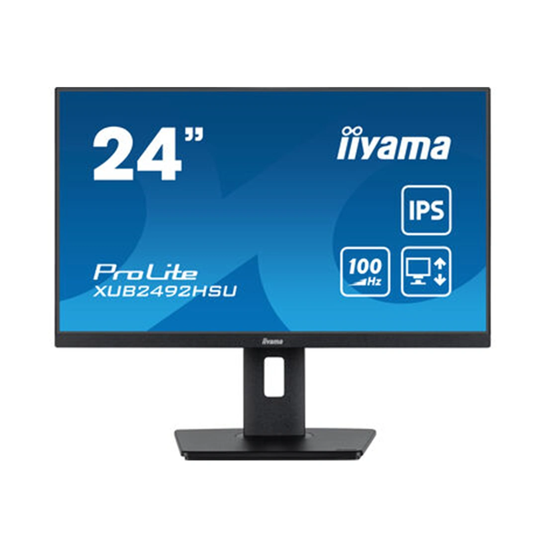 Монитор iiyama ProLite PL2492H XUB2492HSU-B6 24" 