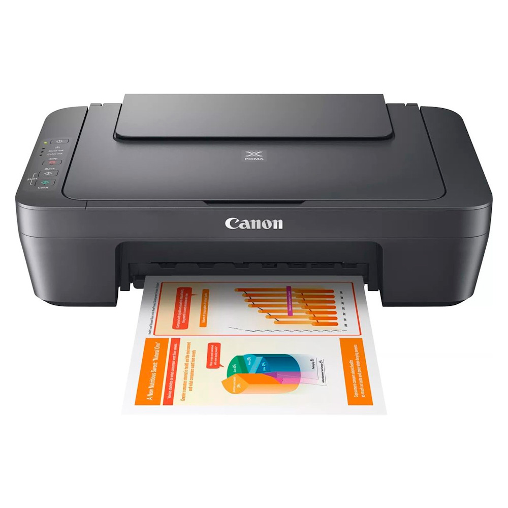 Canon бүріккіш МФУ Pixma MG2541S - фото 2