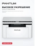 МФУ Pantum BM2300 - фото 6