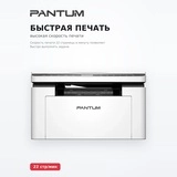 МФУ Pantum BM2300 - фото 3
