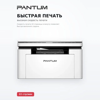 МФУ Pantum BM2300 - фото 5