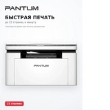 МФУ Pantum BM2300 - фото 5