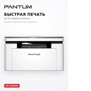 МФУ Pantum BM2300 - фото 5