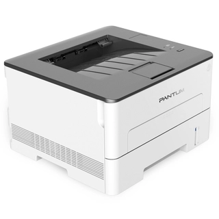 Принтер Pantum P3010D
