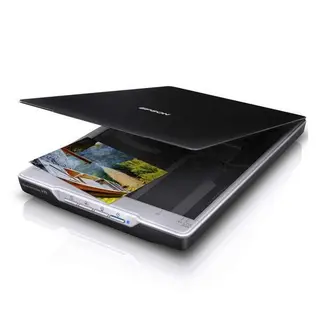 Сканер Epson Perfection V19