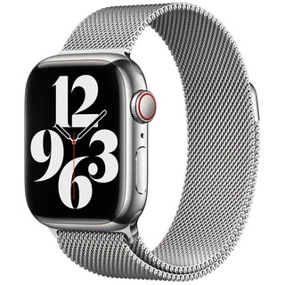 Ремешок Apple 41mm Silver Milanese Loop (ML753ZM/A)