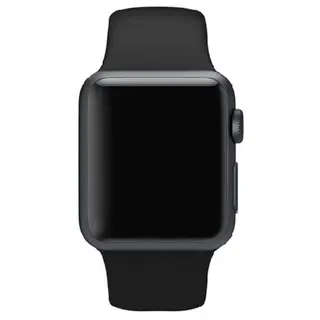 Ремешок Apple Watch Black Sport Band with Space Gray Stainless Steel Pin (MJ4N2)