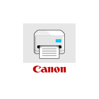 Лицензия для печати Canon SMB Meap Promo 3234V932 