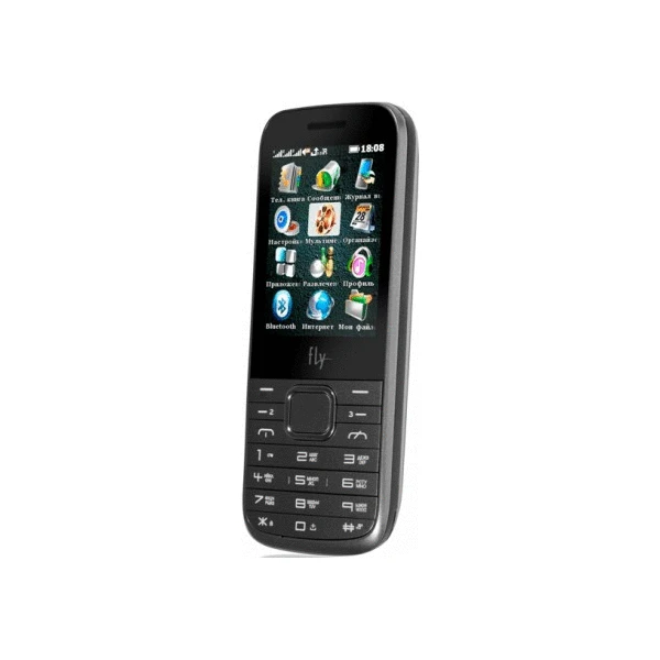Мобильный телефон FLY TS107 Triple Sim (black)