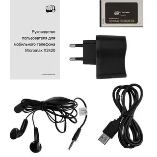 Мобильный телефон Micromax X2420 (Black champagne)