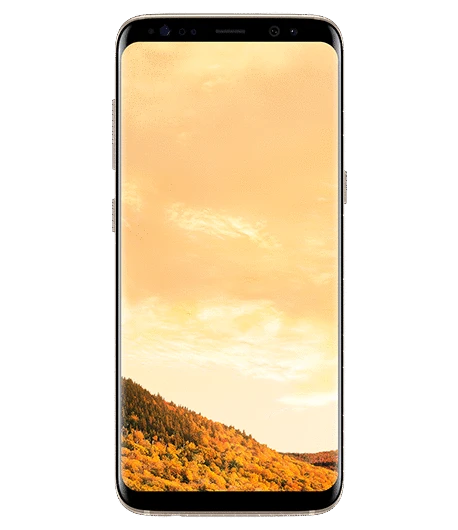 Смартфон Samsung Galaxy S8 LTE (Gold)