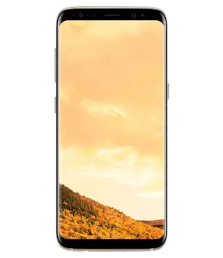Смартфон Samsung Galaxy S8 LTE (Gold)