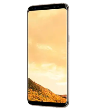 Смартфон Samsung Galaxy S8 LTE (Gold)