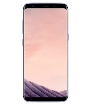 Смартфон Samsung Galaxy S8 Plus (Grey)