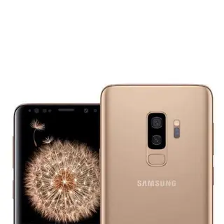Смартфон Samsung Galaxy S9+ 256GB Gold
