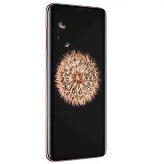 Смартфон Samsung Galaxy S9+ 256GB Gold