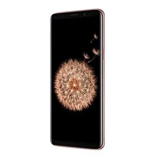Samsung смартфоны Galaxy S9 (Gold)