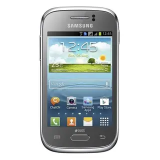 Смартфон Samsung Galaxy Young Duos S6312 Silver