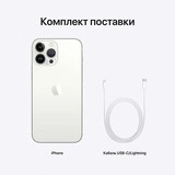 Смартфон Apple iPhone 13 Pro Max 6/128GB Silver - фото 9