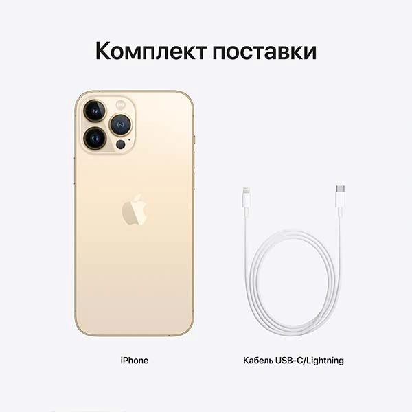 Смартфон Apple iPhone 13 Pro Max 6/1TB Gold - фото 10