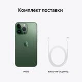 Смартфон Apple iPhone 13 Pro 6/1TB Alpine Green - фото 6
