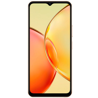 Смартфон Vivo Y17s 4/128 Diamond Orange