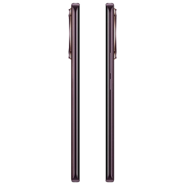 Смартфон Vivo V30e 8/256GB Classy Brown - фото 6