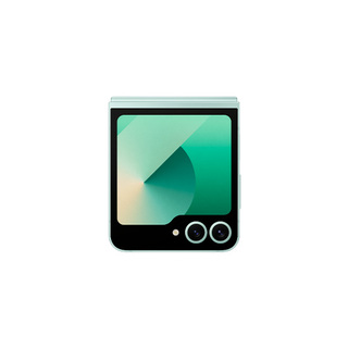 Смартфон Samsung Galaxy Z Flip6 5G 12/256GB Light green (SM-F741BLGGSKZ)