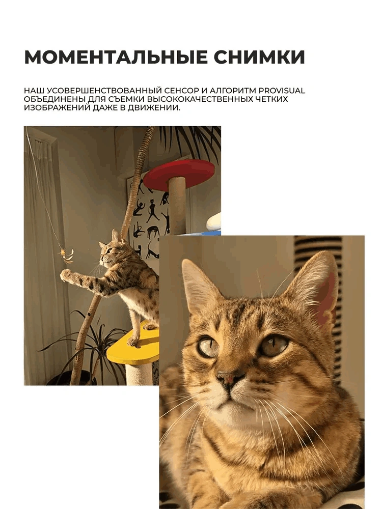 Смартфон Samsung Galaxy S25 12/128GB Mint - фото 7