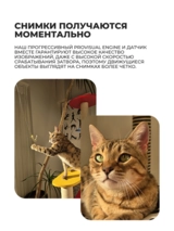 Смартфон Samsung Galaxy S25+ 12/512GB Silver Shadow - фото 9