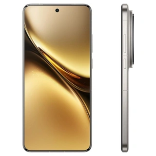 Смартфон Vivo X200 Pro 16/512GB Gray