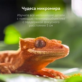 Смартфон Huawei Pura 80 Pro Red - фото 15