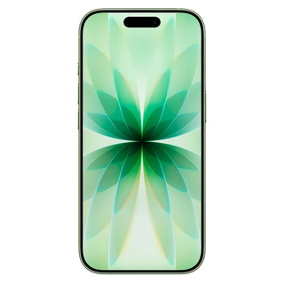 Смартфон Apple iPhone 17 8/256GB Sage
