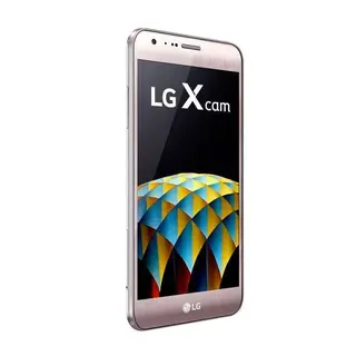 Смартфон LG X Cam (Gold)