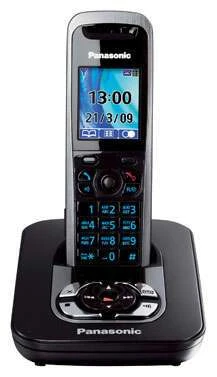 Телефон PANASONIC KX-TG8421 CAT