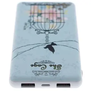 Power bank Joyroom Flower cage 10000mAh