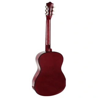 Акустическая гитара Denn DCG390
