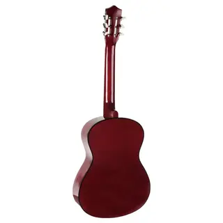 Гитара акустическая Denn DCG 390