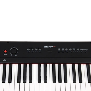 Цифровое пианино Denn PRO PW01