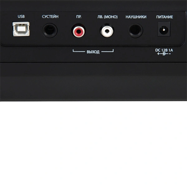 Цифровое пианино Denn PRO PW01 - фото 3