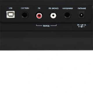 Цифровое пианино Denn PRO PW01