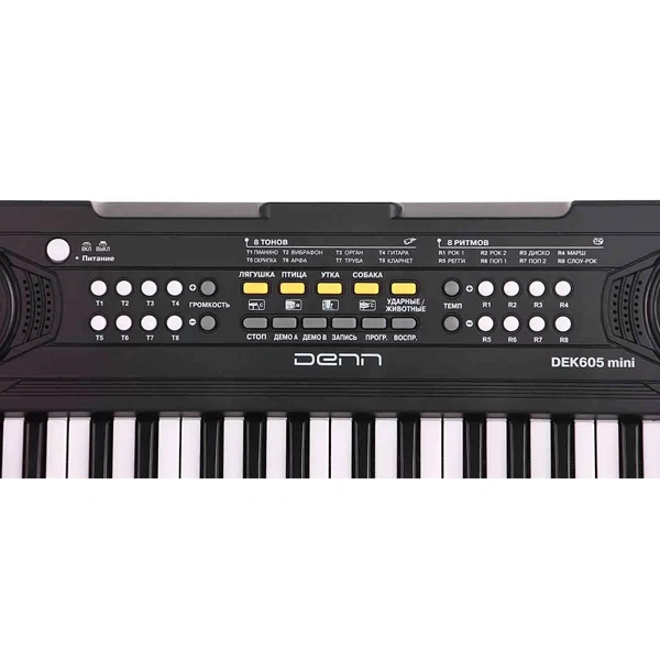 Синтезатор Denn DEK605 mini - фото 4