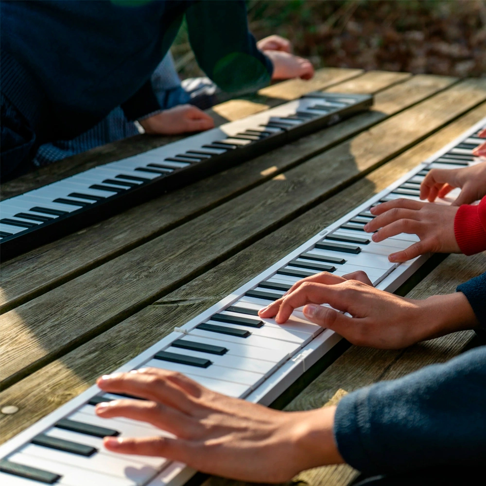 Цифровое пианино Carry on BA203010 (складное) - фото 10